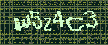 CAPTCHA_picture