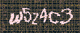 CAPTCHA_picture
