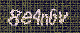 CAPTCHA_picture